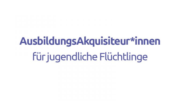 Ausbildungsakquisiteur*Innen